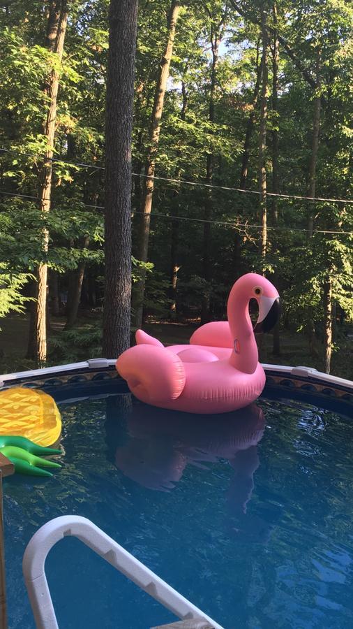 Pocono Cabin With Private Pool At Shawnee Mtn 이스트스트로즈버그 외부 사진